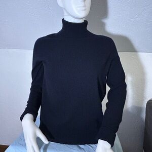 Everlane Navy Blue Cashmere Turtleneck Sweater